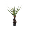 Pandanus Tree műnövény