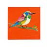 Birdy vászon falikép