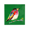 Birdy vászon falikép