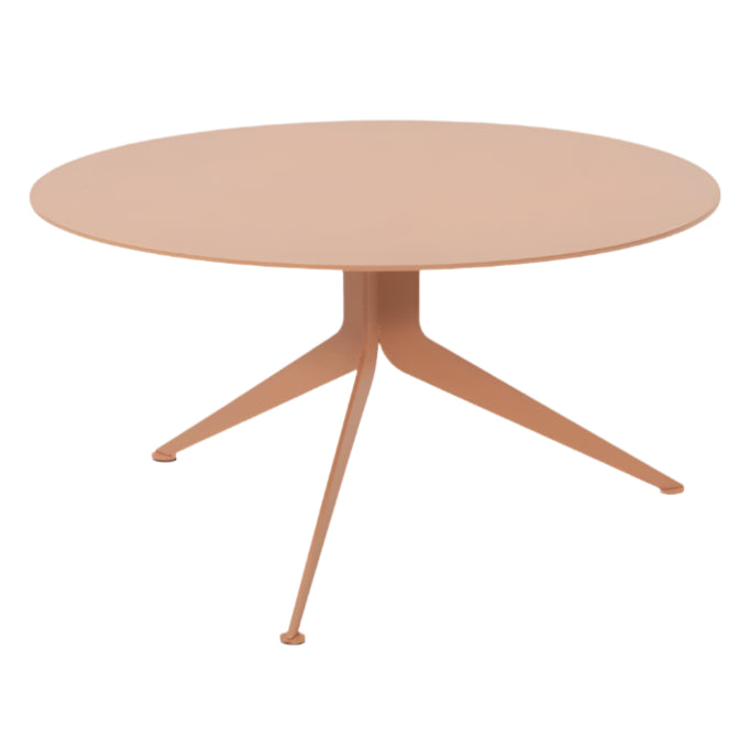 Albany wooden shoe cabinet 72x43