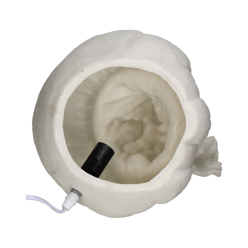 Booq acrylic bookend