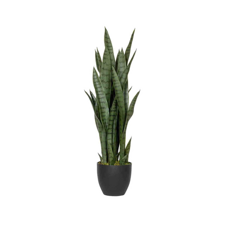 Sansevieria műnövény