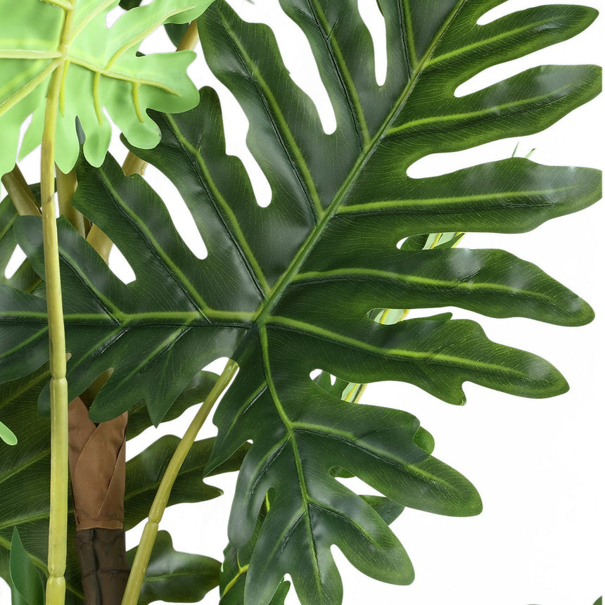 Philodendron műnövény