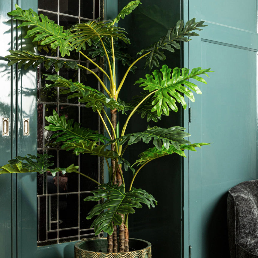 Philodendron műnövény