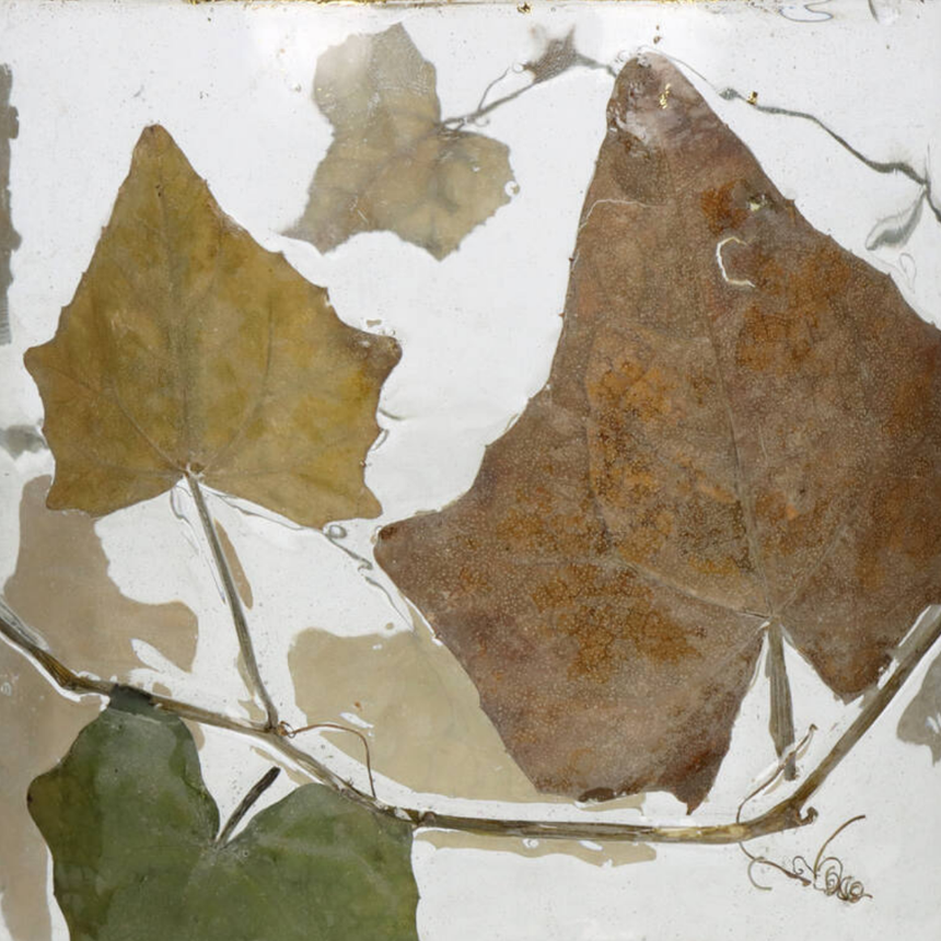 Leaf üveg gyertyatartó