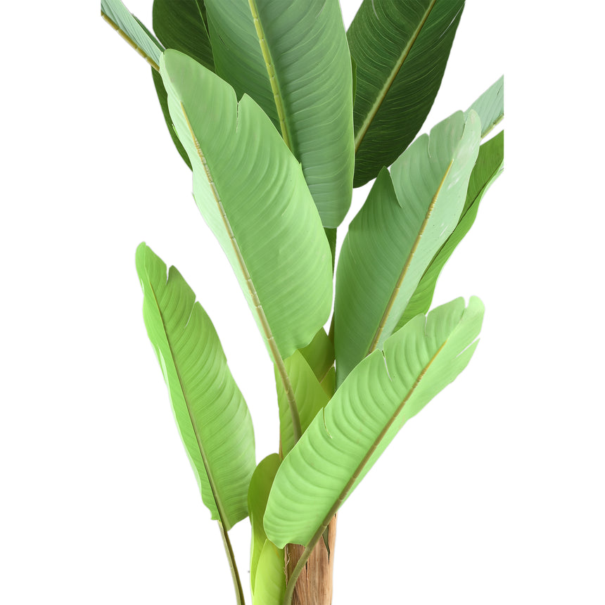 Banana Tree műnövény