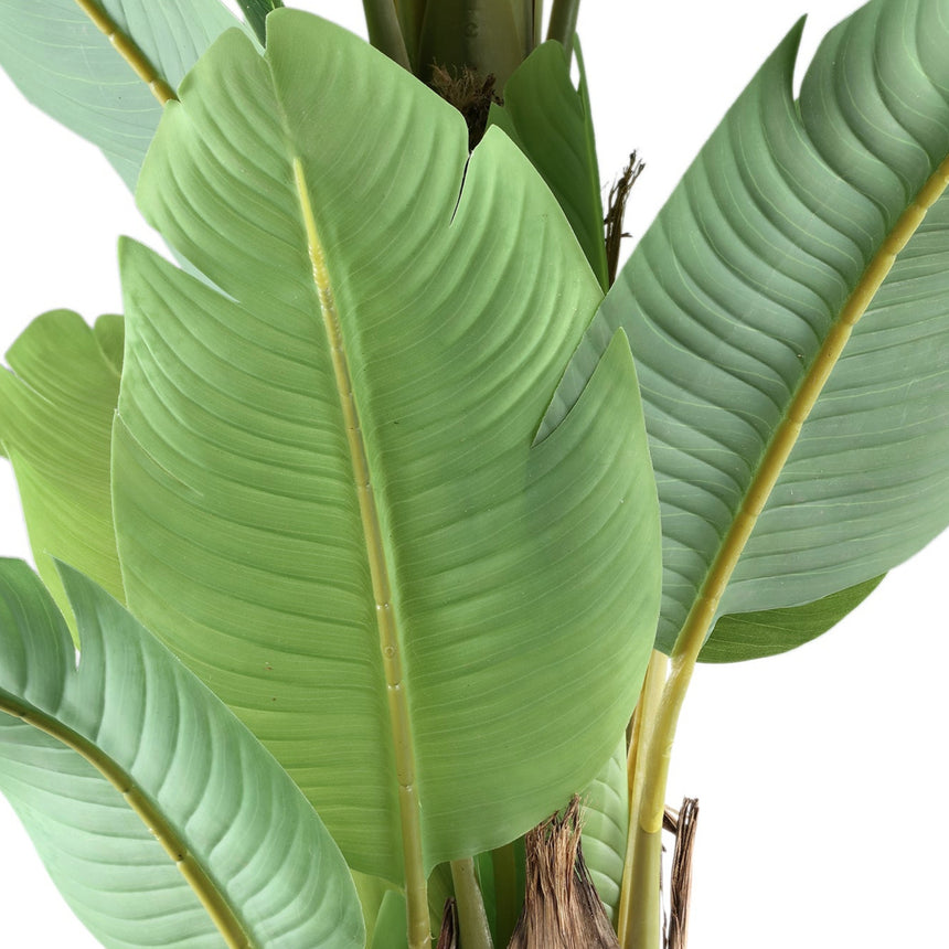 Banana Tree műnövény