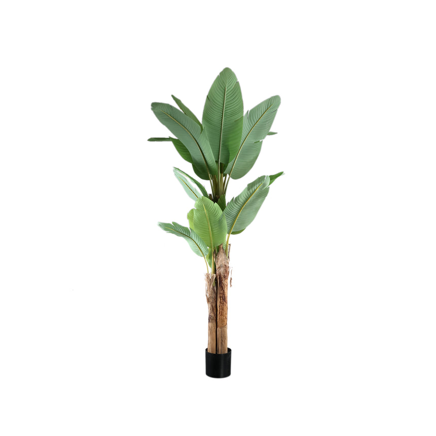 Banana Tree műnövény
