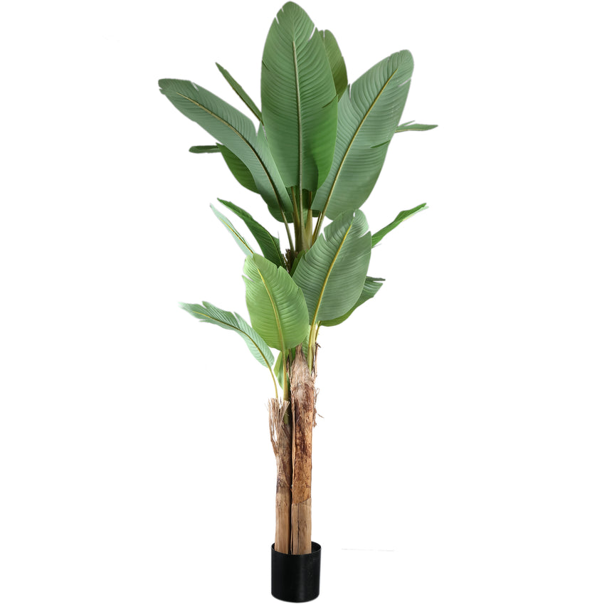 Banana Tree műnövény