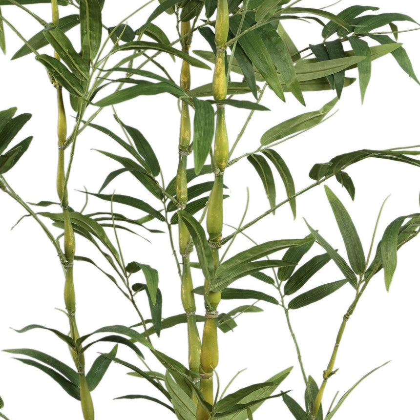 Bamboo Tree műnövény