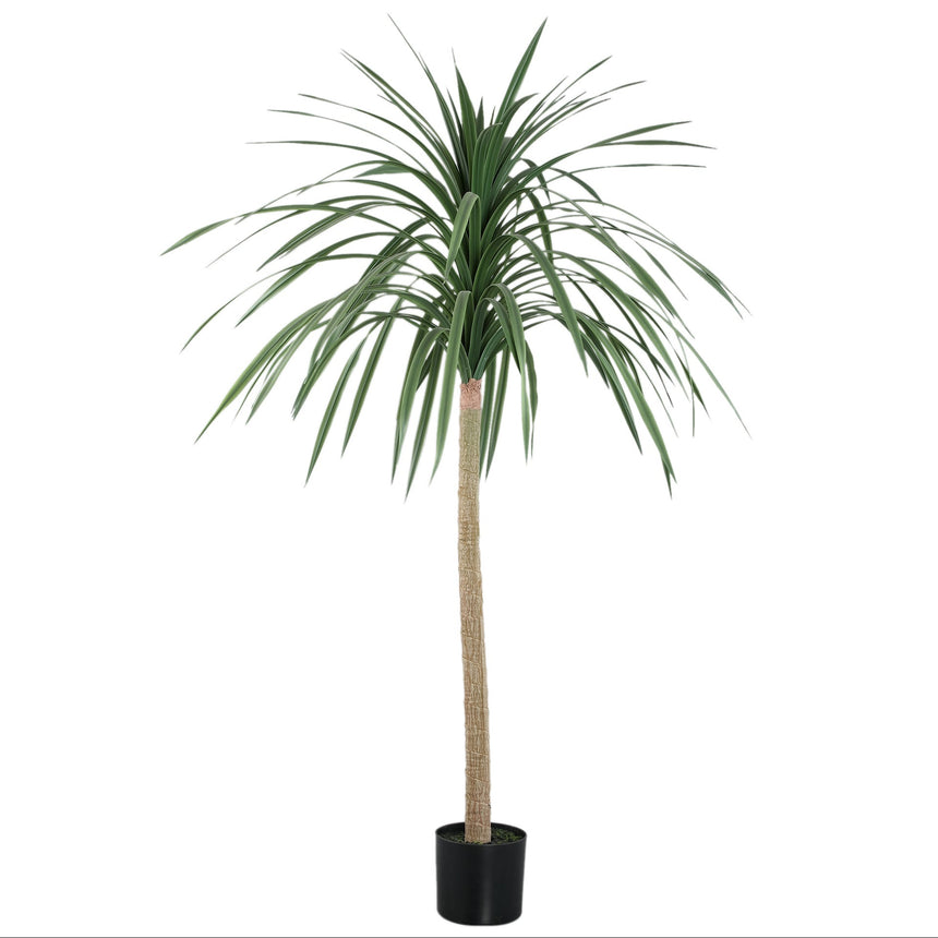 Chinese Lobelia műnövény