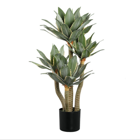Agave műnövény