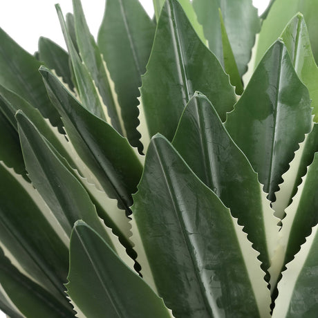 Agave műnövény