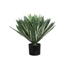 Agave műnövény
