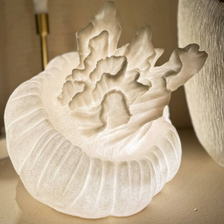 Booq acrylic bookend