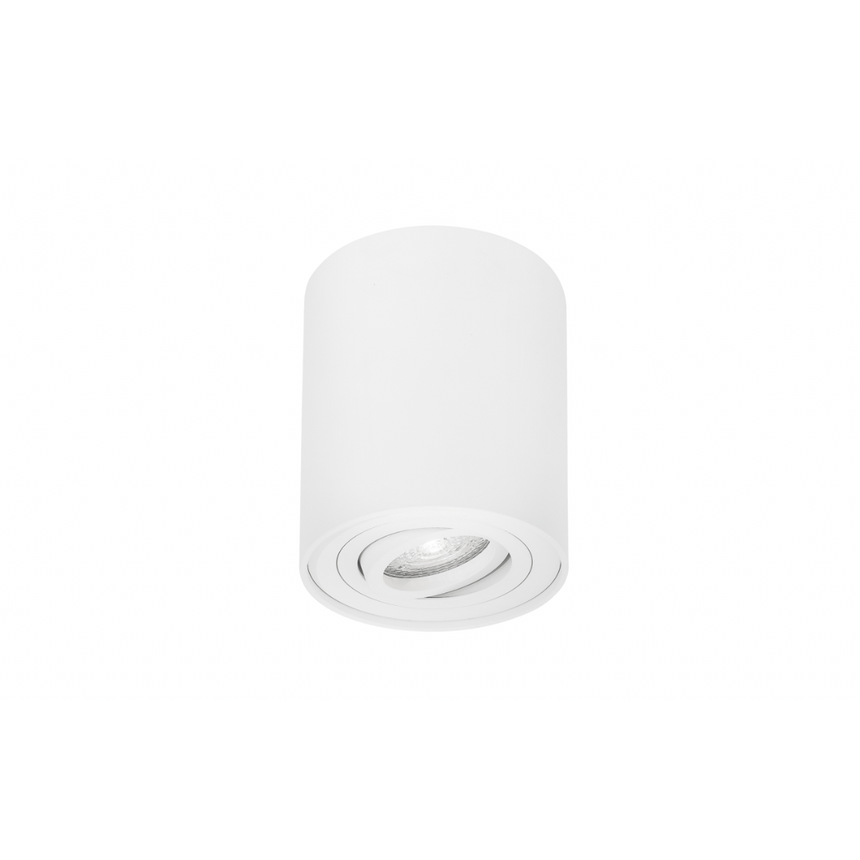 Di Moda metal ceiling lamp with white socket