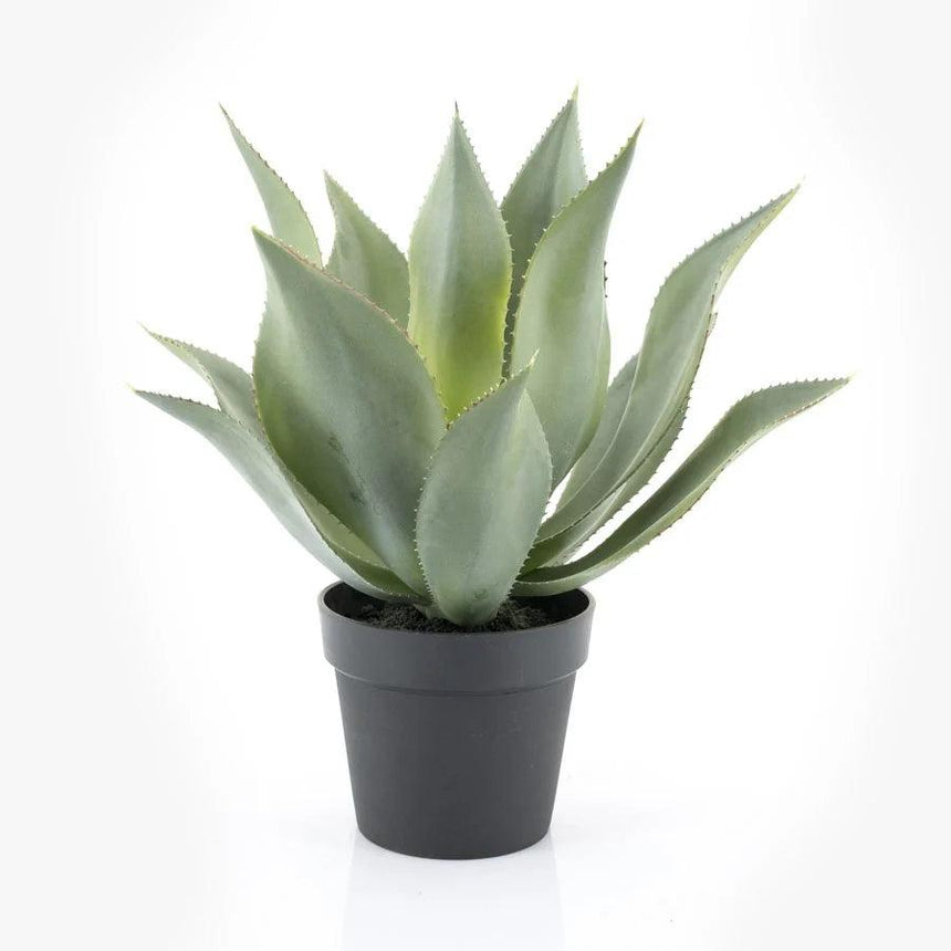 Agave műnövény 51cm