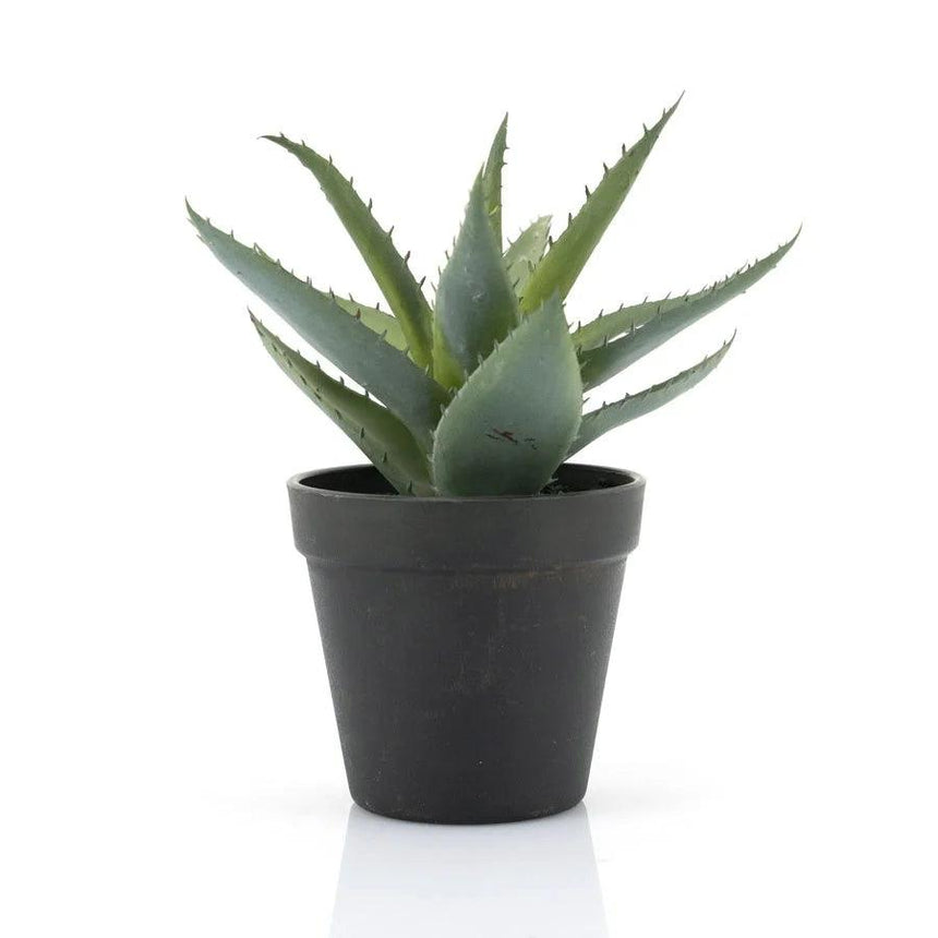 Agave műnövény 23cm