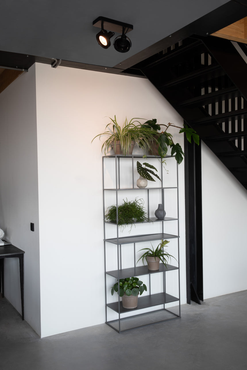 Dice black spotlight 2-pack