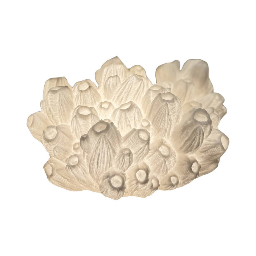 Coral kő asztali lámpa