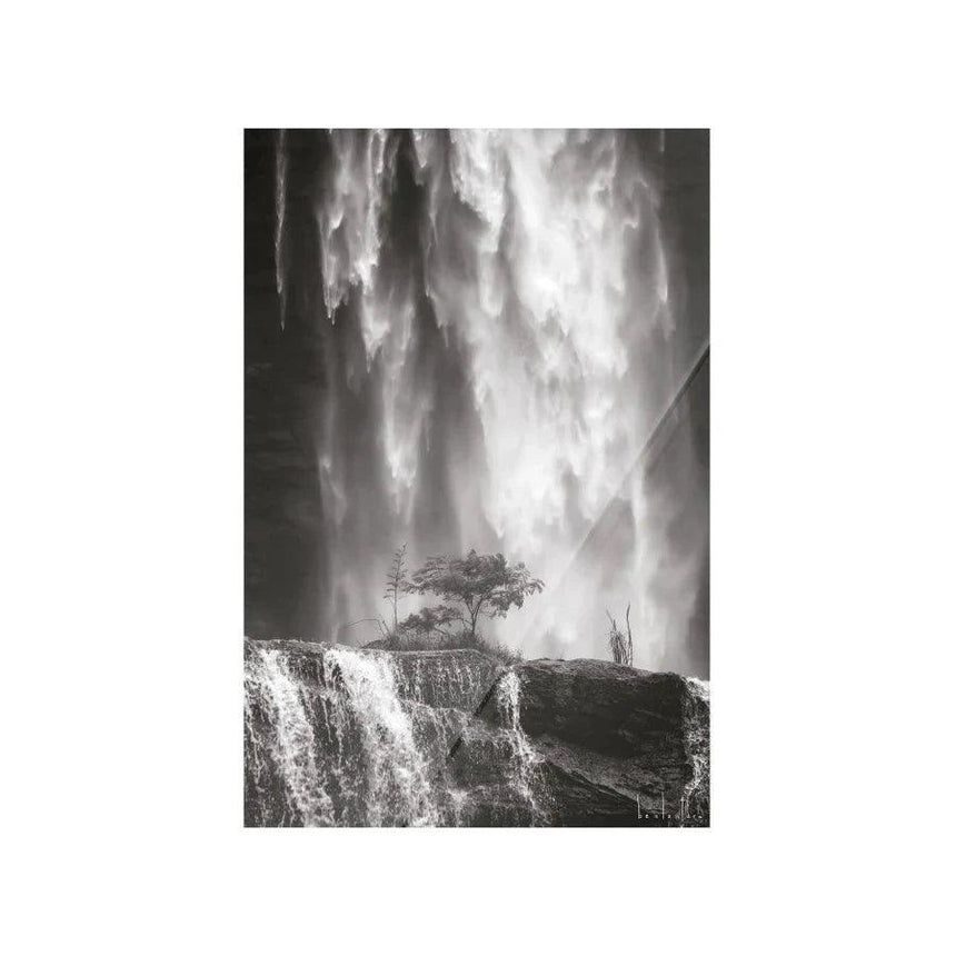 Germinate dizájn falikép