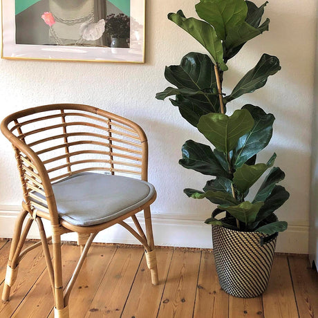 Blend szövet szék