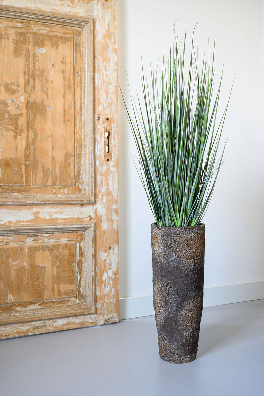 Grass in pot műnövény