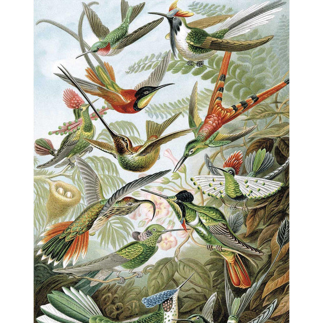 Exotic Birds négyzet alakú tapéta panel-0