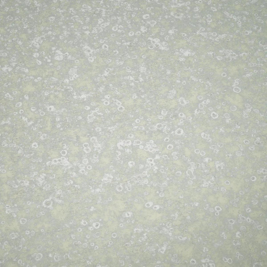 Metropolitan antique mirror glass coffee table