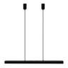 Hazel Branch Black fém függőlámpa 100
